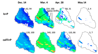 Distributed modeling of snow hydrology